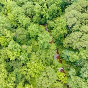 18-018-588RufusCBurnetteDr-Land-20250611