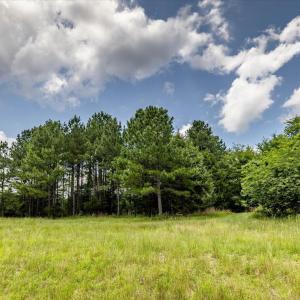 23-023-588RufusCBurnetteDr-Land-20250611