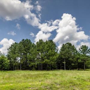 24-024-588RufusCBurnetteDr-Land-20250611