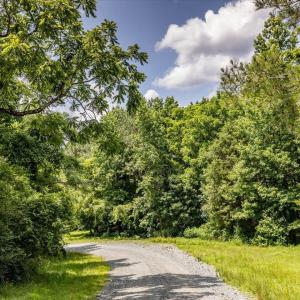 29-029-588RufusCBurnetteDr-Land-20250611