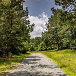 31-031-588RufusCBurnetteDr-Land-20250611