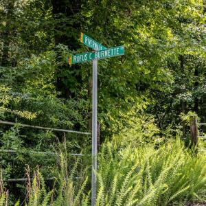 32-032-588RufusCBurnetteDr-Land-20250611