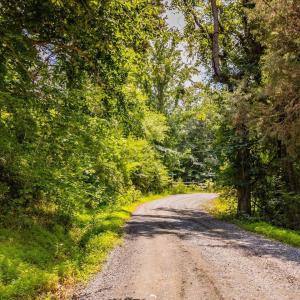 33-033-588RufusCBurnetteDr-Land-20250611