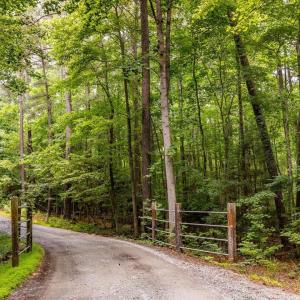 36-036-588RufusCBurnetteDr-Land-20250611