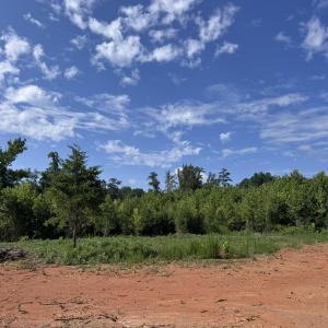 lot 2 5