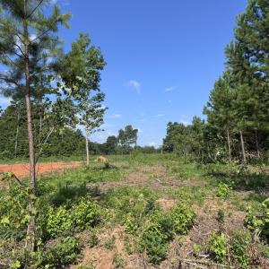 lot 2 3