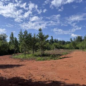 lot 2 1