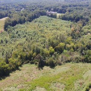 lot 2 11