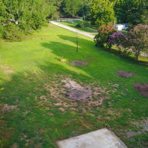 DJI_0024