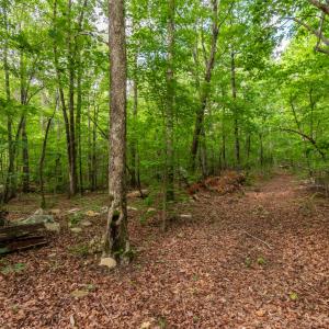 DSC_5019-HDR