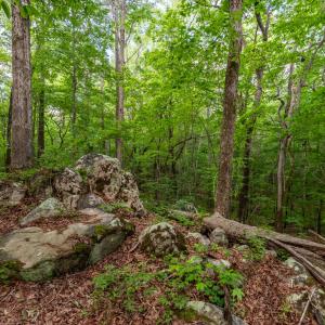 DSC_5021-HDR