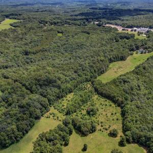 NC 65 Reidsville NC 27320 USA-large-003-