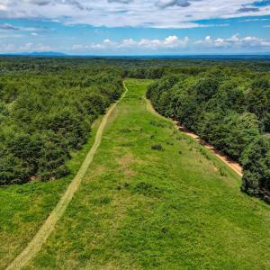 NC 65 Reidsville NC 27320 USA-large-005-