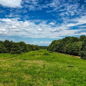 NC 65 Reidsville NC 27320 USA-large-007-