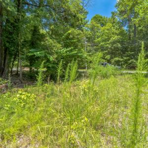 10_115_N_Estes_Dr_Chapel_Hill_NC_27514_U