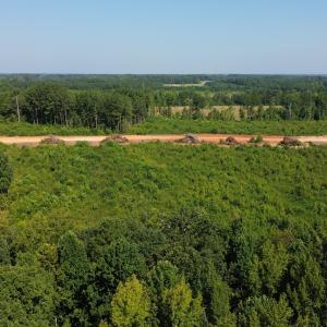 DJI_0017