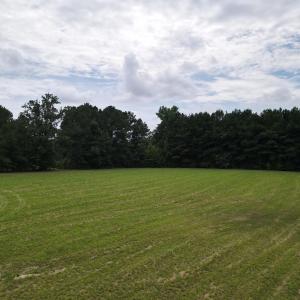 dji_fly_20250731_143852_613_175398714136