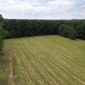 dji_fly_20250731_144334_622_175398742704