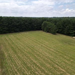 dji_fly_20250731_144330_621_175398742217
