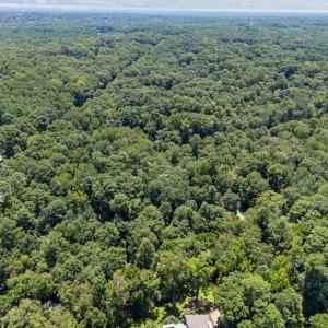 7-web-or-mls-DJI_20250804131847_0667_D