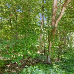 16-web-or-mls-DJI_20250804132809_0679_D