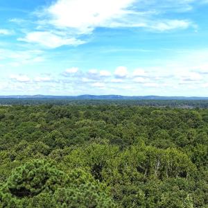 DJI_20250730104523_0156_D