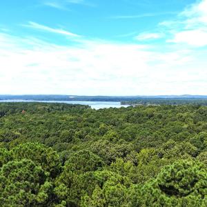 DJI_20250730104519_0155_D