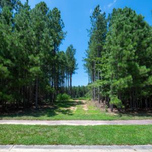 247Larkington-10