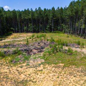 247Larkington-5