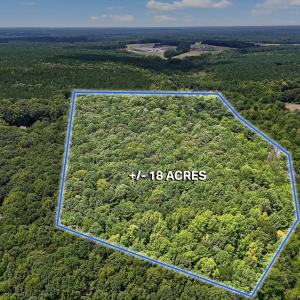 3-web-or-mls-DJI_20250730131028_0627_D-L