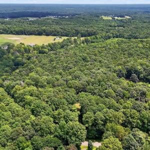 9-web-or-mls-DJI_20250730130638_0617_D