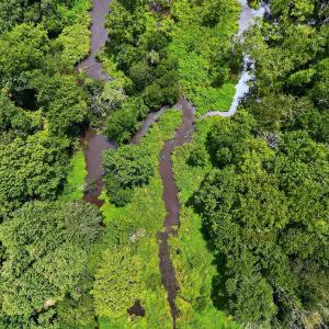 13-web-or-mls-DJI_20250730130114_0608_D