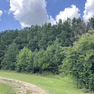 IMG_6065