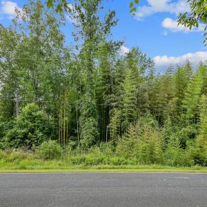 04-1350HayesRdLot2SpringLake