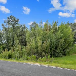 05-1350HayesRdLot2SpringLake