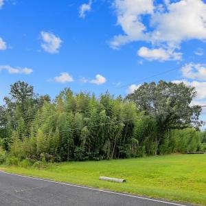 06-1350HayesRdLot2SpringLake