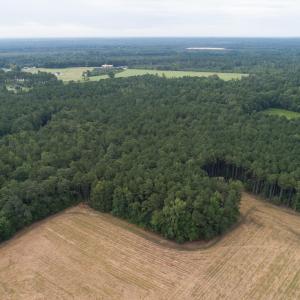 12-1350HayesRdLot2SpringLake