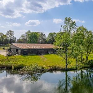 DJI_0614-HDR