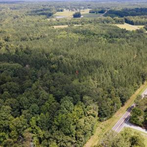 DJI_0023.jpgEast