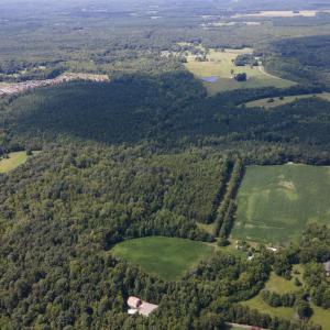 DJI_0091.jpgEast