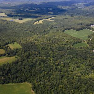 DJI_0095.jpgEast
