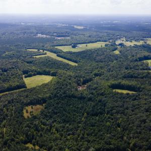 DJI_0109.jpgEast