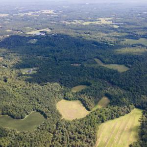 DJI_0124.jpgEast