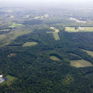 DJI_0130.jpgEast