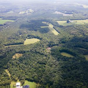 DJI_0134.jpgEast