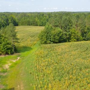 DJI_0542