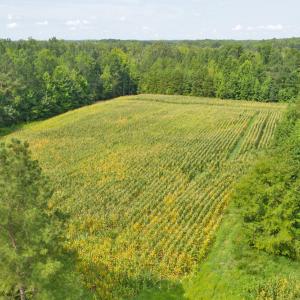 DJI_0543