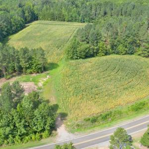 DJI_0545
