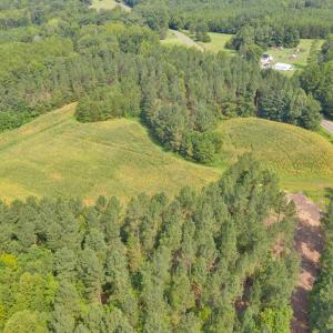 DJI_0560