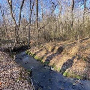 ROLLING CREEK DR-PIC OF CREEK